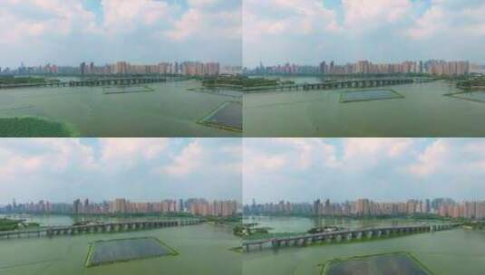 武汉动物园和墨水湖风光高清在线视频素材下载