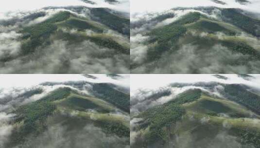 高山森林云雾高清在线视频素材下载
