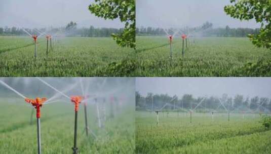农田灌溉升格高清在线视频素材下载