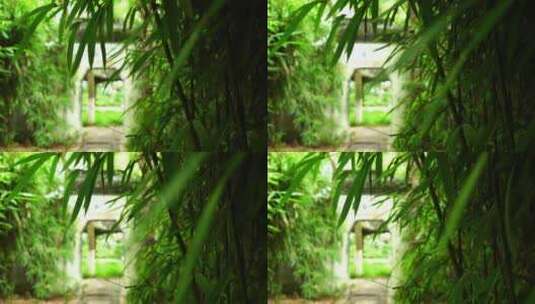 江南园林竹林竹子禅意空镜和沉浸式氛围高清在线视频素材下载