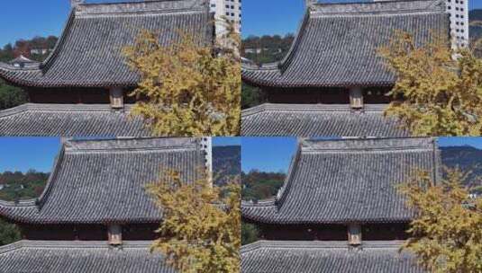 俯瞰临海台州府城文庙孔庙大成殿航拍高清在线视频素材下载