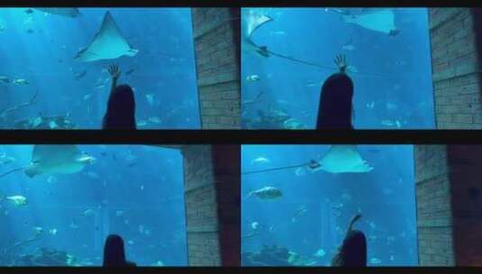 美女在水族馆看鱼游动对鱼招手高清在线视频素材下载