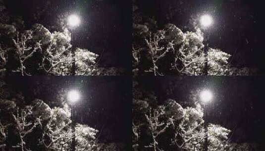 冬天雪天夜晚路灯下大雪纷飞雪花飘舞高清在线视频素材下载