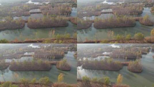 航拍济南平原田野湿地自然风光高清在线视频素材下载