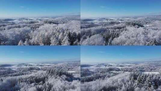 航拍冬天森林覆盖厚厚积雪高清在线视频素材下载