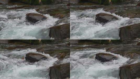 溪流水流水花流水高清在线视频素材下载