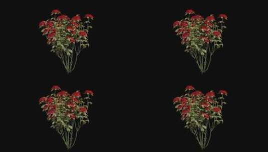 动画花树与红玫瑰花高清在线视频素材下载