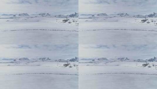 企鹅迁徙上空的空中飞行。南极洲。高清在线视频素材下载