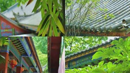 4K古建筑屋檐绿植治愈系高清在线视频素材下载