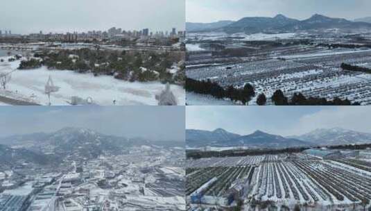 冬天航拍海边雪景大山雪景茶园雪景高清在线视频素材下载