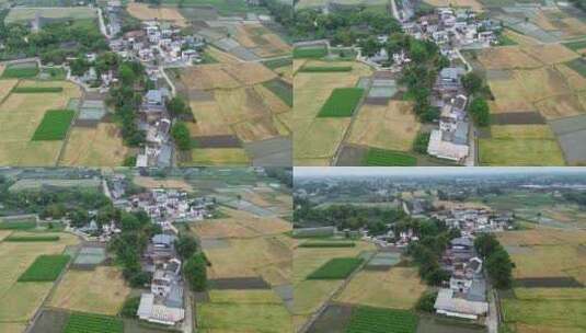 四川广汉平原土地乡村高清在线视频素材下载