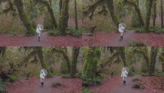宁静的森林漫步苔藓树冠下的徒步旅行者高清在线视频素材下载