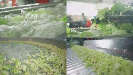 蔬菜工厂脱水蔬菜高清在线视频素材下载