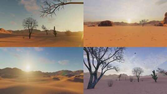 土地沙漠化和干旱贫瘠的沙漠景观高清在线视频素材下载
