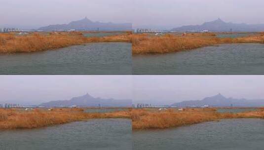 内蒙古乌海沙漠芦苇山峰远景湖泊高清在线视频素材下载