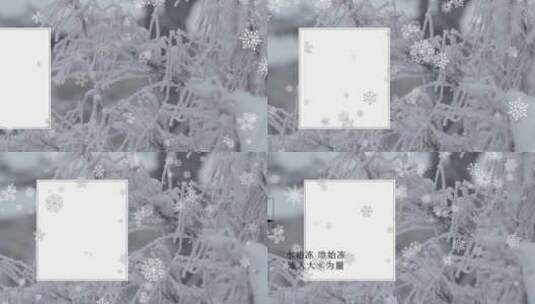 立冬雪花节气白色背景视频AE模板高清AE视频素材下载