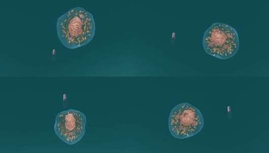 医学微观生物病毒细胞形态医疗三维动画展示高清在线视频素材下载