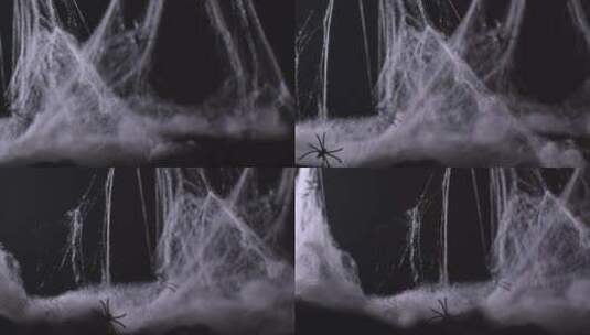 黑色背景下的蜘蛛网高清在线视频素材下载