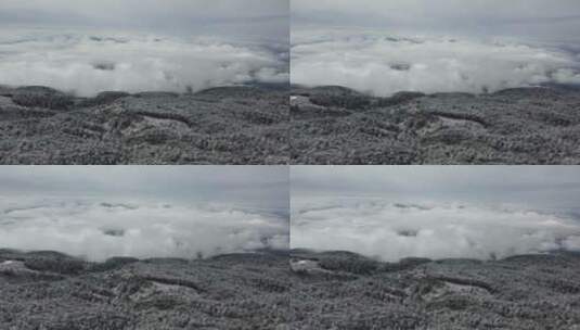 航拍佛教名山四川峨眉山，云海缭绕树林白雪高清在线视频素材下载