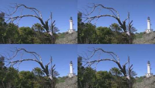 澳大利亚角朗斯代尔森林中的灯塔景观高清在线视频素材下载