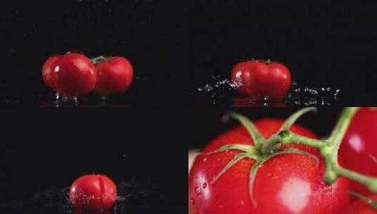 西红柿 番茄合集高清在线视频素材下载