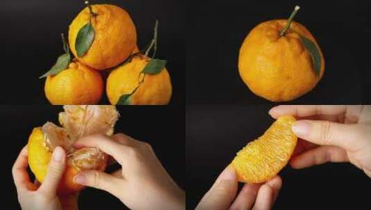 丑橘粑粑柑高清在线视频素材下载