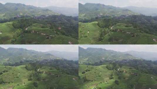 4k 航拍柳州三江布央仙人茶山茶山风景区高清在线视频素材下载