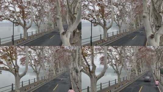 江西省九江市李公堤上秋冬航拍高清在线视频素材下载