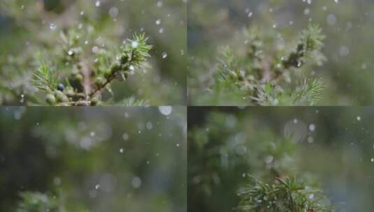 下雨雨滴升格高清在线视频素材下载