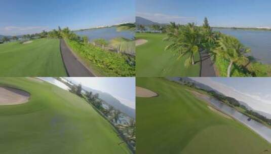 穿越机 高尔夫 草坪 椰子树 路高清在线视频素材下载