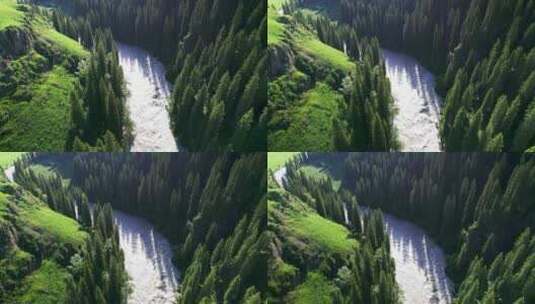 航拍森林溪流高清在线视频素材下载