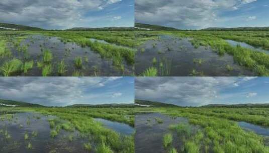 航拍国家森林公园湿地风景高清在线视频素材下载