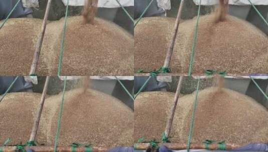 自动收割机割小麦航拍高清在线视频素材下载