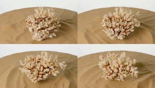 沙滩上的珊瑚，白色，旋转高清在线视频素材下载