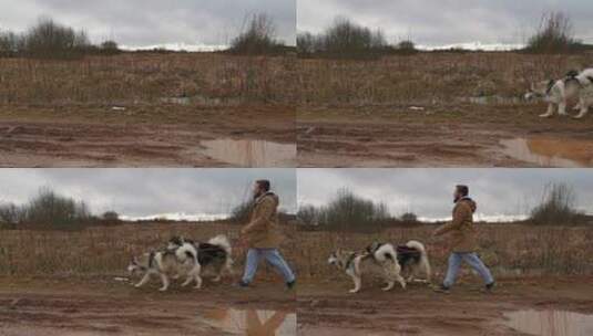 一个男人和他的狗走在路上高清在线视频素材下载