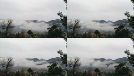 浓雾笼罩着山坡和山谷高清在线视频素材下载