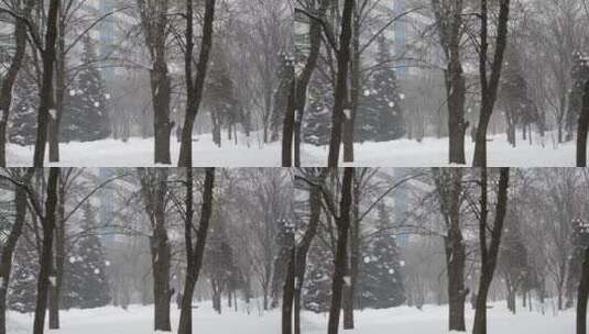 城市公园里的大雪高清在线视频素材下载