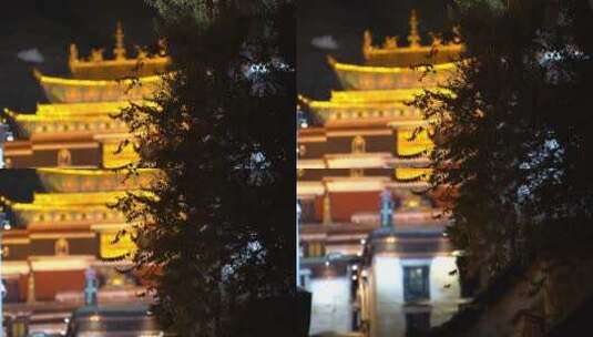 日喀则扎什伦布寺夜景高清在线视频素材下载