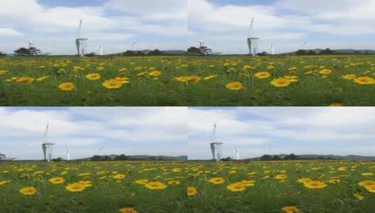 大自然野花风车唯美空镜4k竖版实拍高清在线视频素材下载