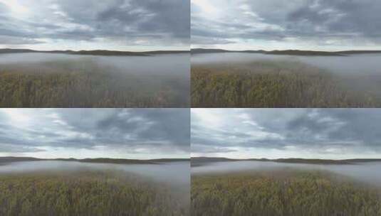 航拍秋山林海云雾迷漫高清在线视频素材下载