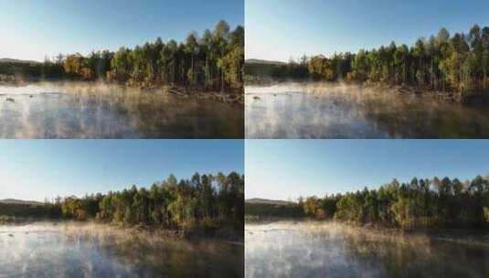 秋季森林河迷人的薄雾高清在线视频素材下载