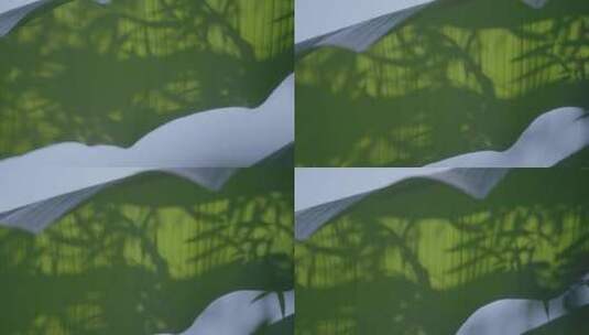 绿叶上竹子的光影植物自然美安静微风诗意高清在线视频素材下载