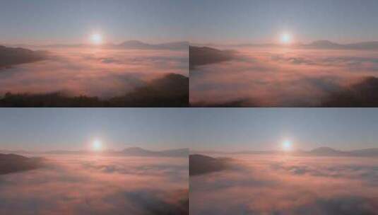 清晨的景迈山云海日出，古茶山云海高清在线视频素材下载