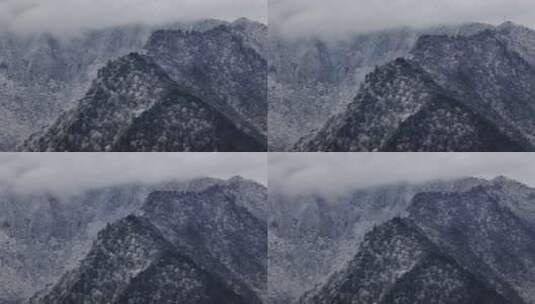 高山寒冷雾凇高清在线视频素材下载