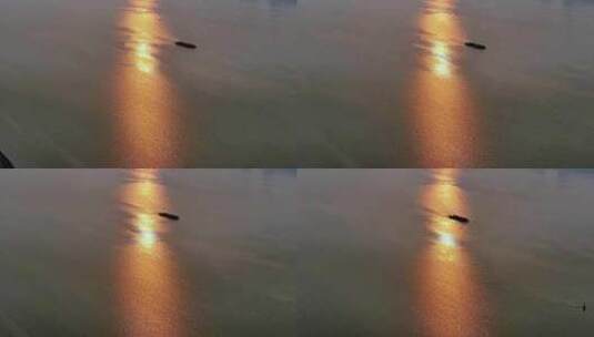 杭州钱塘江航船夕阳下前行高清在线视频素材下载