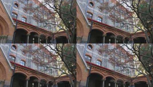 秋天美丽的枫叶民国特色建筑特写 苏州大学高清在线视频素材下载