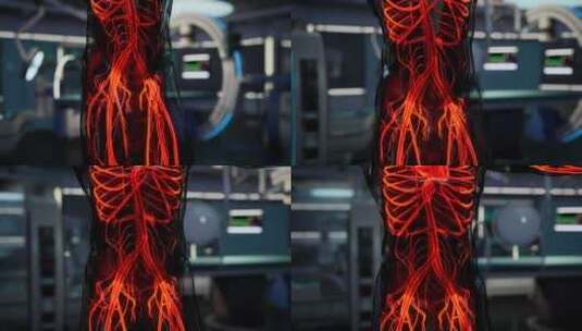 人体血管的科学解剖扫描高清在线视频素材下载