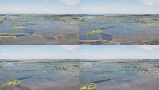 航拍黑龙江省大庆市杜尔伯特县春季水稻田高清在线视频素材下载