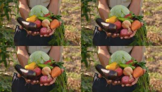 农民手里拿着刚摘的蔬菜高清在线视频素材下载