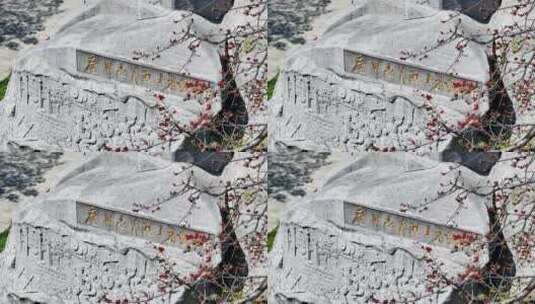 广州起义烈士陵园纪念碑红棉木棉花高清在线视频素材下载